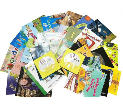 ����˹��èCollins big Cat��è