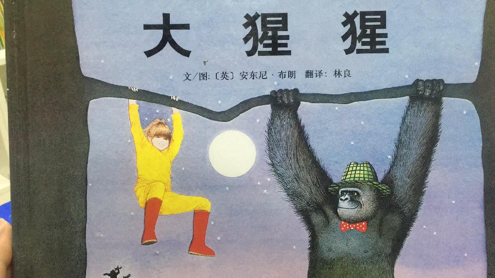 �ӱ����������� �汾ϵ��