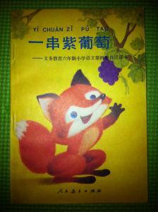 һ��������